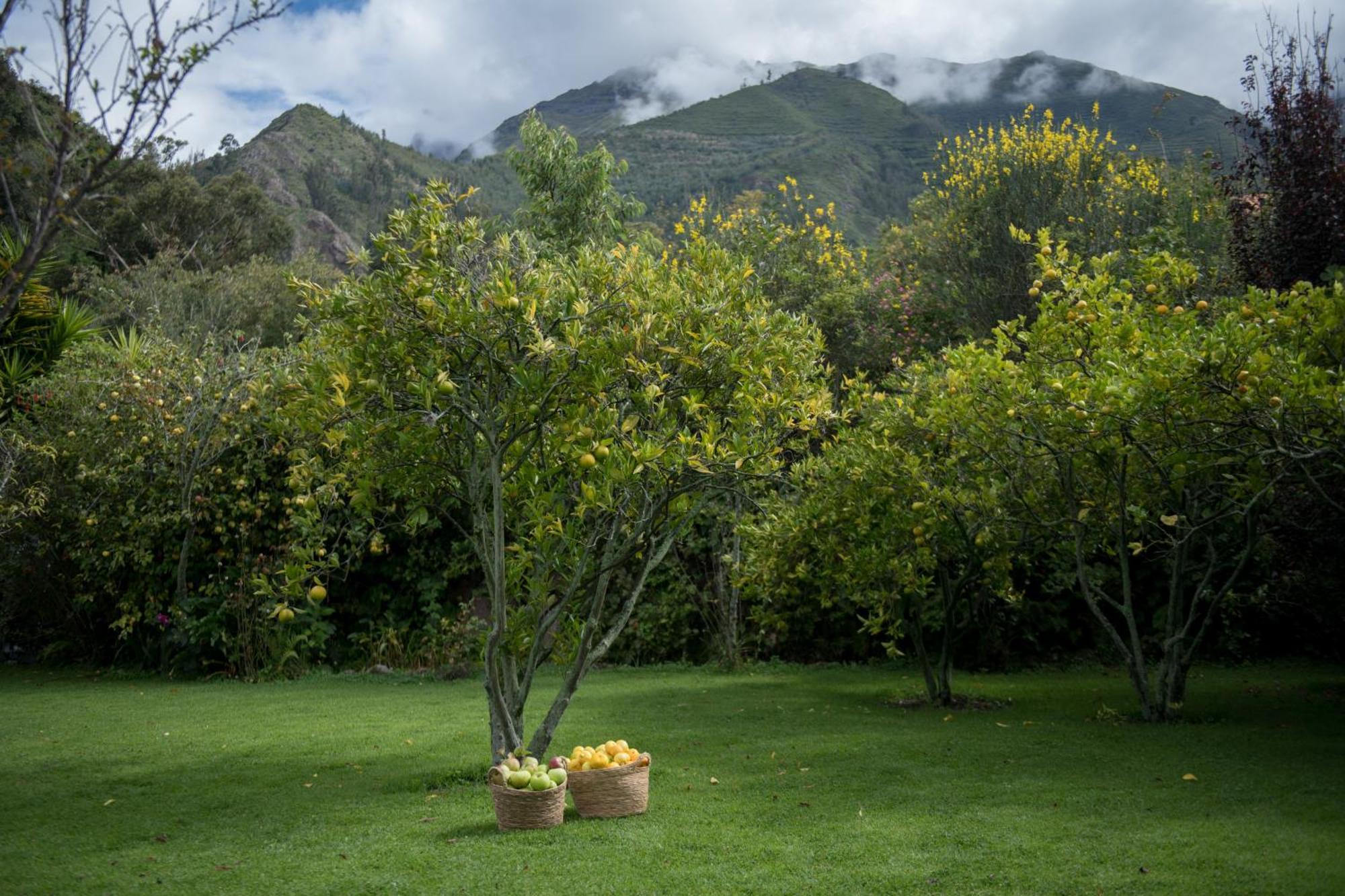Andenia Boutique Hotel, Sacred Valley Urubamba Zewnętrze zdjęcie