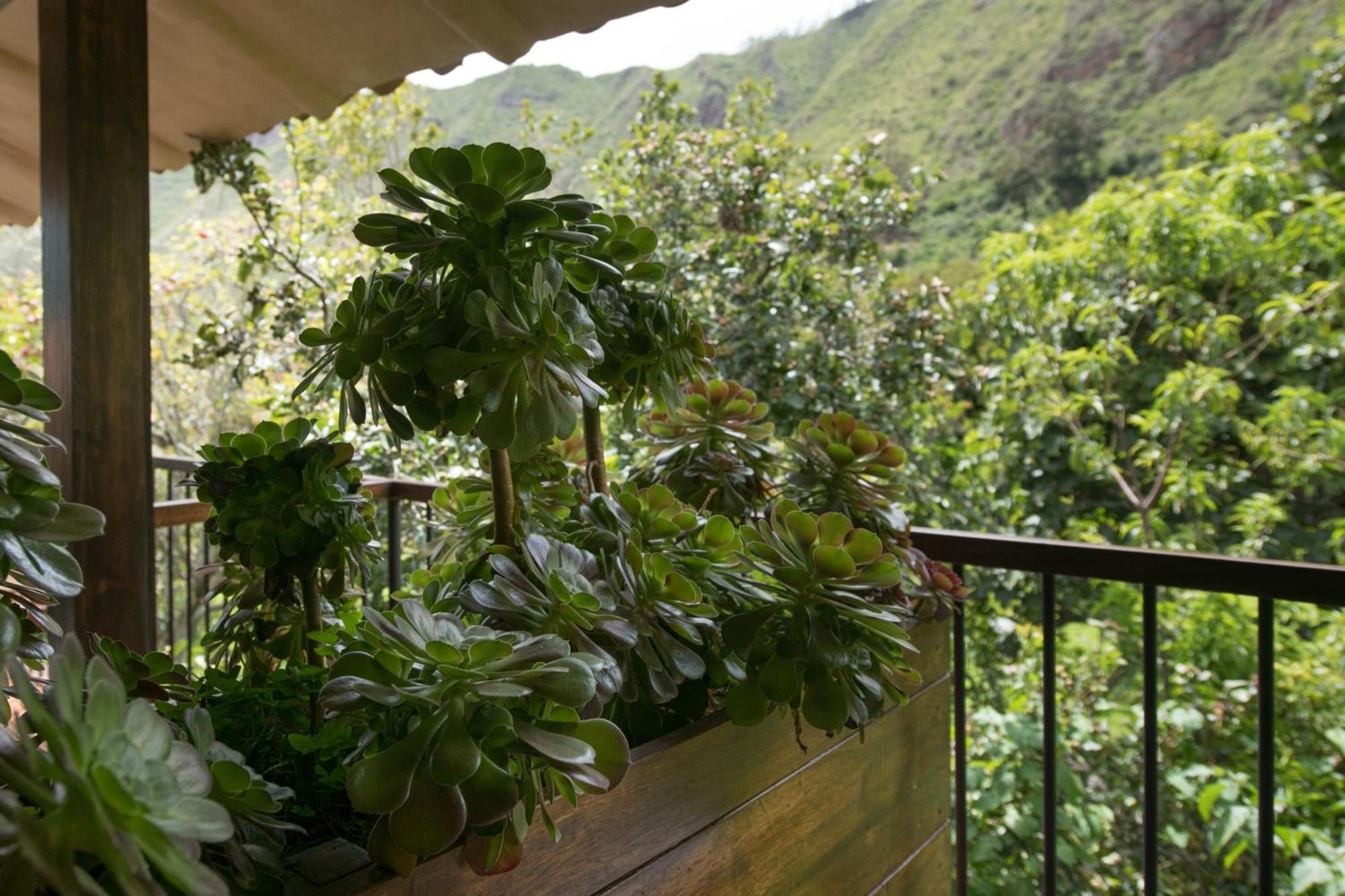 Andenia Boutique Hotel, Sacred Valley Urubamba Zewnętrze zdjęcie